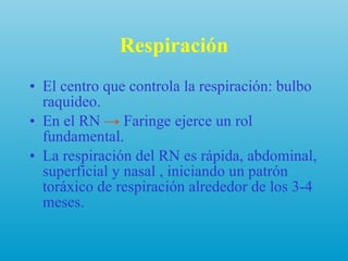 Respiración El centro que controla la respiración: bulbo raquideo. En el RN  ->  F aringe ejerce un rol fundamental.  La respiración del RN es rápida, abdominal, superficial y nasal , iniciando un patrón toráxico de respiración alrededor de los 3-4 meses. 