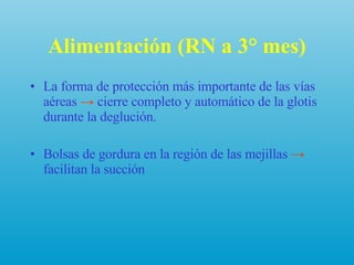 Alimentación (RN a 3° mes) La forma de protección más importante de las vías aéreas  ->  cierre completo y automático de la glotis durante la deglución. Bolsas de gordura en la región de las mejillas  ->  facilitan la succión 