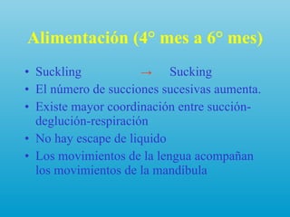 Alimentación (4° mes a 6° mes) Suckling  ->   Sucking El número de succiones sucesivas aumenta. Existe mayor coordinación entre succión-deglución-respiración No hay escape de liquido Los movimientos de la lengua acompañan los movimientos de la mandíbula 