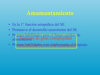 Amamantamiento Es la 1° función ortopédica del SE Promueve el desarrollo neuromotor del SE Prepara habilidades para el futuro cambio de alimentación Prepara habilidades para implementar el lenguaje. Función de gran complejidad  Amamantar no es solo succionar 