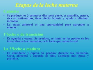 Etapas de la leche materna Calostro Se produce los 3 primeros días post parto, es amarilla, espesa, rica en anticuerpos, tiene efecto laxante y ayuda a eliminar meconio. La etapa calostral es una oportunidad para aprender a mamar. 1°leche o de transición Es aguada y escasa. Se produce, se junta en los pechos en los intervalos en las mamadas, es la leche que calma la sed. La 2°leche o madura Es abundante y espesa. Se produce durante las mamadas, Sacia, alimenta y engorda al niño. Contiene más grasa y proteína. 
