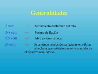 Generalidades 4 sem ->   Movimiento contorción del feto 2-8 sem   ->   Postura de flexión 9.5 sem   ->   Abre y cierra la boca   24 sem ->   Esta siendo producido surfactante en células  alveolares que posteriormente va a ayudar en  el esfuerzo respiratorio. 
