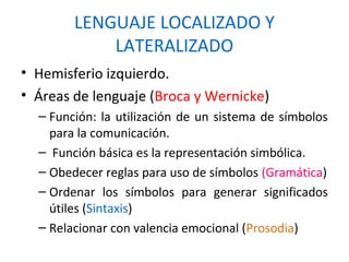 LENGUAJE LOCALIZADO Y
LATERALIZADO
• Hemisferio izquierdo.
• Áreas de lenguaje (Broca y Wernicke)
– Función: la utilización de un sistema de símbolos
para la comunicación.
– Función básica es la representación simbólica.
– Obedecer reglas para uso de símbolos (Gramática)
– Ordenar los símbolos para generar significados
útiles (Sintaxis)
– Relacionar con valencia emocional (Prosodia)
 