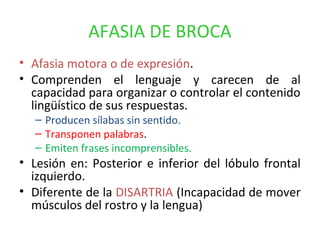 AFASIA DE BROCA
• Afasia motora o de expresión.
• Comprenden el lenguaje y carecen de al
capacidad para organizar o controlar el contenido
lingüístico de sus respuestas.
– Producen sílabas sin sentido.
– Transponen palabras.
– Emiten frases incomprensibles.
• Lesión en: Posterior e inferior del lóbulo frontal
izquierdo.
• Diferente de la DISARTRIA (Incapacidad de mover
músculos del rostro y la lengua)
 