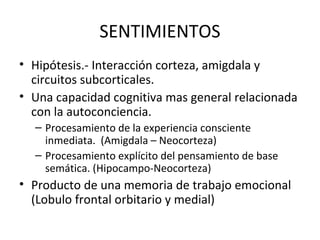 SENTIMIENTOS
• Hipótesis.- Interacción corteza, amigdala y
circuitos subcorticales.
• Una capacidad cognitiva mas general relacionada
con la autoconciencia.
– Procesamiento de la experiencia consciente
inmediata. (Amigdala – Neocorteza)
– Procesamiento explícito del pensamiento de base
semática. (Hipocampo-Neocorteza)
• Producto de una memoria de trabajo emocional
(Lobulo frontal orbitario y medial)
 