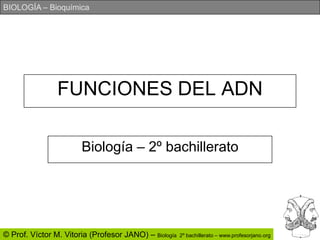FUNCIONES DEL ADNBiología – 2º bachillerato