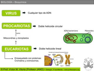 VIRUSCualquier tipo de ADNPROCARIOTASDoble helicoide circularcomoMitocondrias y cloroplastosEUCARIOTASDoble helicoide linealEmpaquetado con proteínas:Cromatina y cromosomas.