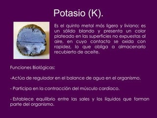 Potasio (K).
                    Es el quinto metal más ligero y liviano; es
                    un sólido blando y presenta un color
                    plateado en las superficies no expuestas al
                    aire, en cuyo contacto se oxida con
                    rapidez, lo que obliga a almacenarlo
                    recubierto de aceite.


Funciones Biológicas:

-Actúa de regulador en el balance de agua en el organismo.

- Participa en la contracción del músculo cardíaco.

- Establece equilibrio entre las sales y los líquidos que forman
parte del organismo.
 