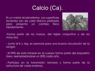 Calcio (Ca).
Es un metal alcalinotérreo. Las superficies
recientes son de color blanco plateado
pero    presenta    un    cambio     físico
rápidamente.

-Forma parte de los huesos, del tejido conjuntivo y de los
músculos.

- Junto al K y Mg, es esencial para una buena circulación de la
sangre.

- El 99% de este mineral en el cuerpo forma parte del esqueleto
óseo, reemplazándose un 20% cada año.

- Participa en la transmisión nerviosa y forma parte de la
estructura de varias enzimas.
 