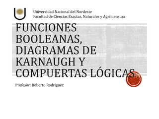 Universidad Nacional del Nordeste 
Facultad de Ciencias Exactas, Naturales y Agrimensura 
Profesor: Roberto Rodriguez 
 