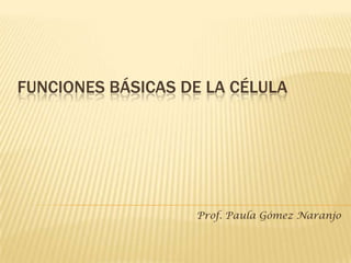 FUNCIONES BÁSICAS DE LA CÉLULA




                   Prof. Paula Gómez Naranjo
 