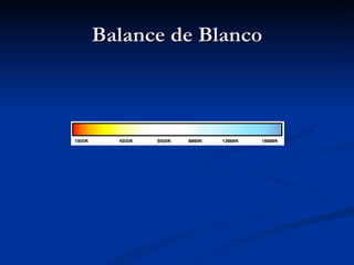 Balance de Blanco 