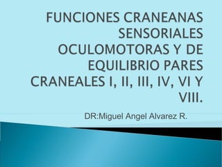 DR:Miguel Angel Alvarez R.
 
