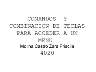COMANDOS Y
COMBINACION DE TECLAS
PARA ACCEDER A UN
MENU
Molina Castro Zara Priscila
4020
 
