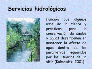 Servicios hidrológicos
Función que algunos
usos de la tierra y
prácticas
para
la
conservación de suelos
y aguas desempeñan en
mantener la oferta de
agua dentro de los
parámetros requeridos
por los usuarios de un
sitio (Kaimowitz, 2001).

 