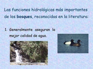 Las funciones hidrológicas más importantes
de los bosques, reconocidas en la literatura:
1. Generalmente aseguran la
mejor calidad de agua.

 