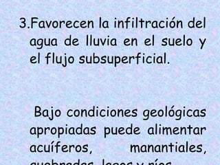 3.Favorecen la infiltración del
agua de lluvia en el suelo y
el flujo subsuperficial.

Bajo condiciones geológicas
apropiadas puede alimentar
acuíferos,
manantiales,

 