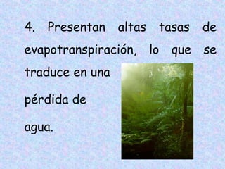 4.

Presentan

altas

tasas

de

evapotranspiración, lo que se
traduce en una
pérdida de
agua.

 