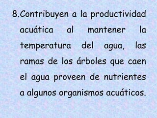 8.Contribuyen a la productividad
acuática

al

temperatura

mantener
del

agua,

la
las

ramas de los árboles que caen
el agua proveen de nutrientes
a algunos organismos acuáticos.

 