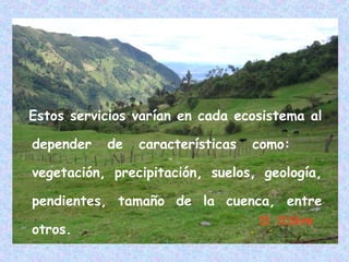 Estos servicios varían en cada ecosistema al
depender

de

características

como:

vegetación, precipitación, suelos, geología,
pendientes, tamaño de la cuenca, entre
otros.

 