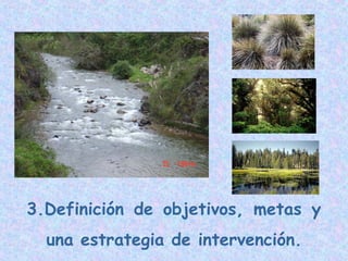 3.Definición de objetivos, metas y
una estrategia de intervención.

 