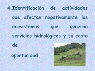4.Identificación

de

actividades

que afectan negativamente los
ecosistemas

que

generan

servicios hidrológicos y su costo
de
oportunidad.

 