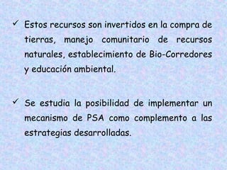  Estos recursos son invertidos en la compra de
tierras, manejo comunitario de recursos
naturales, establecimiento de Bio-Corredores
y educación ambiental.
 Se estudia la posibilidad de implementar un
mecanismo de PSA como complemento a las
estrategias desarrolladas.

 