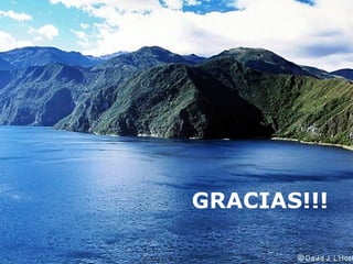 GRACIAS!!!

 