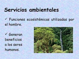 Servicios ambientales
 Funciones ecosistémicas utilizadas por

el hombre.
 Generan
beneficios
a los seres
humanos.

 