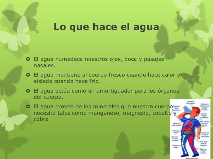 Funciones del agua en nuestro cuerpo Funciones del agua en nuestro cuerpo