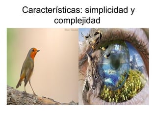 Características: simplicidad y 
complejidad 
 