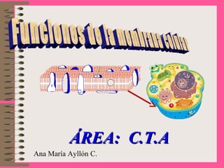 Ana María Ayllón C.
ÁREA: C.T.AÁREA: C.T.A
 