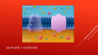 SIMPORTE Y ANTIPORTE
 