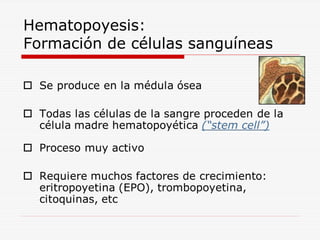Hematopoyesis:
Formación de células sanguíneas

 