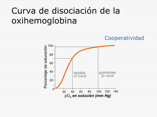 Curva de disociación de la
oxihemoglobina
Porcentaje de saturación

Cooperatividad
100
80
60
40

pulmones

tejidos

20 ml/dl

15 ml/dl
20
0

20

40

60

80

100

120

pO2 en solución (mm Hg)

140

 