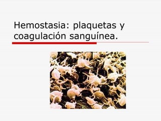 Hemostasia: plaquetas y
coagulación sanguínea.

 