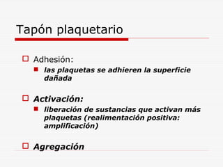 Tapón plaquetario
 Adhesión:
 las plaquetas se adhieren la superficie
dañada

 Activación:
 liberación de sustancias que activan más
plaquetas (realimentación positiva:
amplificación)

 Agregación

 
