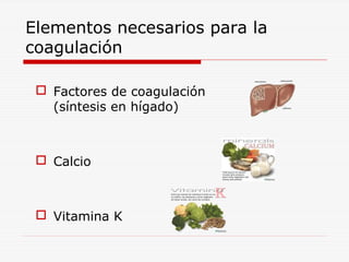 Elementos necesarios para la
coagulación
 Factores de coagulación
(síntesis en hígado)

 Calcio

 Vitamina K

 