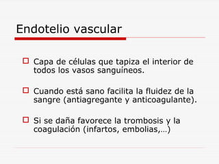 Endotelio vascular
 Capa de células que tapiza el interior de
todos los vasos sanguíneos.
 Cuando está sano facilita la fluidez de la
sangre (antiagregante y anticoagulante).
 Si se daña favorece la trombosis y la
coagulación (infartos, embolias,…)

 