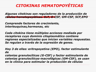 CITOKINAS HEMATOPOYÉTICAS
Algunas citokinas son reguladores de la producción de
células hematopoyéticas. IL7, G-CSF, GM-CSF, SCF,EPO
Comprende factores de crecimiento,
interleuquinas,hormonas, etc
Cada citokina tiene múltiples acciones mediada por
receptores cuyo dominio citoplasmático contiene
regiones especializadas que inician variables respuestas.
Se regulan a través de la expresión de genes.
Hoy 3 de ellas: eritropoyetina (EPO), factor estimulante
de
colonias granulocíticas (G-CSF) y factor estimulante de
colonias granulocíticas-macrofágicas (GM-CSF), se usan
en la clínica para estimular la producción de células

 