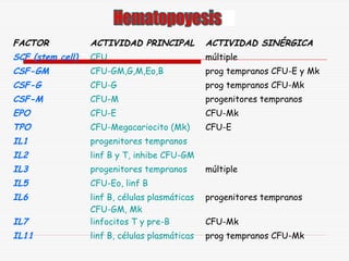 FACTOR

ACTIVIDAD PRINCIPAL

ACTIVIDAD SINÉRGICA

SCF (stem cell)

CFU

múltiple

CSF-GM

CFU-GM,G,M,Eo,B

prog tempranos CFU-E y Mk

CSF-G

CFU-G

prog tempranos CFU-Mk

CSF-M

CFU-M

progenitores tempranos

EPO

CFU-E

CFU-Mk

TPO

CFU-Megacariocito (Mk)

CFU-E

IL1

progenitores tempranos

IL2

linf B y T, inhibe CFU-GM

IL3

progenitores tempranos

IL5

CFU-Eo, linf B

IL6

progenitores tempranos

IL7

linf B, células plasmáticas
CFU-GM, Mk
linfocitos T y pre-B

IL11

linf B, células plasmáticas

prog tempranos CFU-Mk

múltiple

CFU-Mk

 