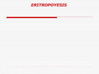 ERITROPOYESIS

La eritropoyesis es el proceso de formación de los eritrocitos que, en el adulto normal se realiza
íntegramente en la médula ósea. A partir de células madre pluripotentes, mediante procesos no bien
conocidos, se producen las células progenitoras morfológicamente indiferenciadas y las células
precursoras ya diferenciadas. Entre las primeras se encuentran las células BFU-E (formadoras de colonias
eritroides grandes y abundantes ) y las CFU-E (formadoras de colonias eritroides pequeñas y escasas)

 