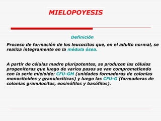 MIELOPOYESIS

Definición
Proceso de formación de los leucocitos que, en el adulto normal, se
realiza íntegramente en la médula ósea.
A partir de células madre pluripotentes, se producen las células
progenitoras que luego de varios pasos se van comprometiendo
con la serie mieloide: CFU-GM (unidades formadoras de colonias
monocitoides y granulocíticas) y luego las CFU-G (formadoras de
colonias granulocitos, eosinófilos y basófilos).

 