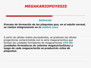 MEGAKARIOPOYESIS

Definición
Proceso de formación de las plaquetas que, en el adulto normal,
se realiza íntegramente en la médula ósea.

A partir de células madre pluripotentes, se producen las células
progenitoras comprometida con la serie magacariocítica que
forman las unidades formadoras de megacariocitos CFU-Mk
(unidades formadoras de colonias megacariocíticas) y
luego de cada megacariocito se producirán miles de
plaquetas.

 