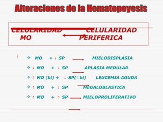 CELULARIDAD
MO
↑



MO

 ↓ MO

CELULARIDAD
PERIFERICA

+ ↓ SP
+ ↓ SP

 ↑ MO (bl) +

MIELODISPLASIA
APLASIA MEDULAR

↓ SP(↑ bl)

LEUCEMIA AGUDA

 ↑ MO

+ ↓ SP

MEGALOBLASTICA

 ↑ MO

+ ↑ SP

MIELOPROLIFERATIVO

 