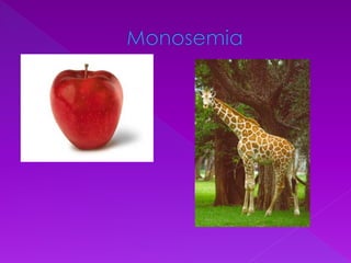 Funciones de las imágenes