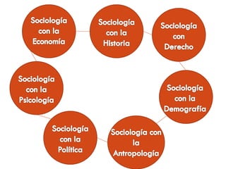 Funciones de la sociologia