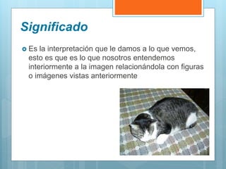Significado
 Es la interpretación que le damos a lo que vemos,
esto es que es lo que nosotros entendemos
interiormente a la imagen relacionándola con figuras
o imágenes vistas anteriormente
 