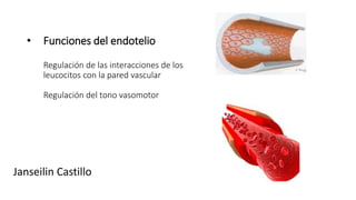• Funciones del endotelio
Regulación de las interacciones de los
leucocitos con la pared vascular
Regulación del tono vasomotor
Janseilin Castillo
 