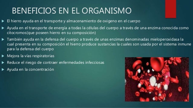 Funciones del hierro en el organismo Funciones del hierro en el organismo